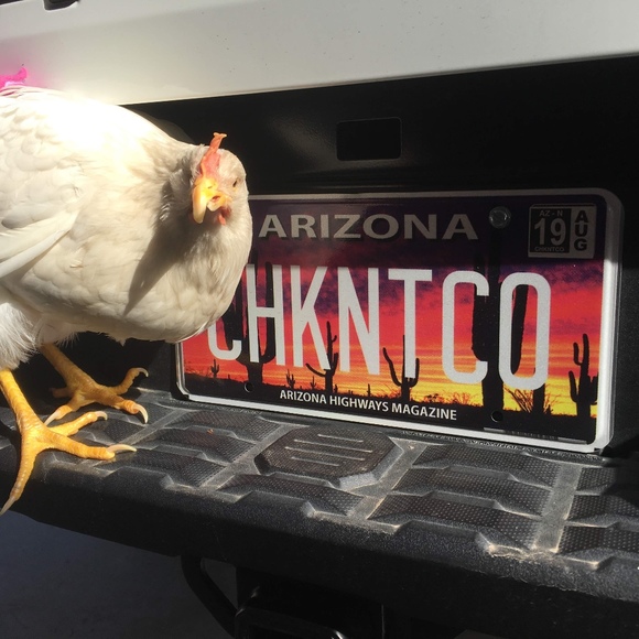 Meet your Posher, Michelle - Picture 1 of 1